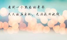 感动百万人--揭秘抖音热门文案的励志正能量力量