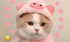 25句令男友酥掉的撒娇卖萌句子，向TA展现你的可爱！