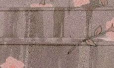 《小红书情话文案大全：浪漫缠绵，唯美动人，恋爱必备！》