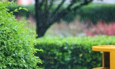 让我们用美丽的言语表达感恩——一些简短的母亲节句子，表达我们对妈妈的赞美和爱