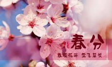 一些描绘春分时节多彩多姿的词语和句子