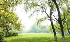 庆祝植树节的最佳方式——秉持爱护自然、保护地球的精神，我们参与植树活动并努力改善环境