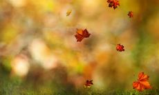 44句关于哲学的哲理说说，包括对人生的感悟和启示，是一个完整的哲理说说大全