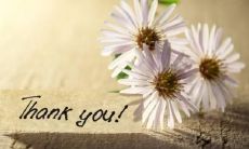 表达感恩与奉献之情的赞美句子，让我们一起来感受人与人之间的温暖和美好！