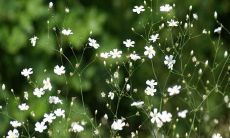 令人心寒的失望亲情评估语句，让你无法寄望于亲人的真心与牵挂