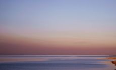 如何用伤感抒情的句子表达内心的情感？