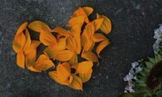 让你沉浸在深深哀愁中的句子，一听就让你心酸不已