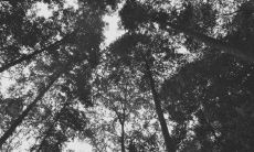 当友情无法支持，关系走向终点的表达方式