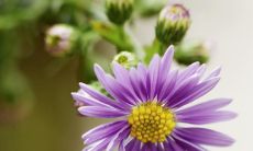 如何根据场合选择恰当的短信结束问候语？