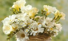 用真挚问候互致关怀——一份特别的短信