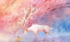 一些让你的女朋友开心的心灵温暖的句子和表达方式