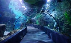 沉淀几载的留言句子，见证着岁月流转与友情长存