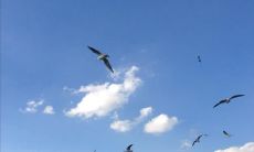 在抖音上带来欢乐和快乐的优美句子