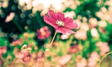 为什么会有讽刺友情长久的话出现呢？