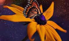 探讨关于友情和饮酒的深刻句子，探索饮酒对友谊长存的影响