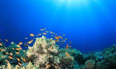 关于人和人之间真正的友情，有哪些令人深思的表达呢？