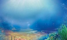 怀念逝去的友谊，倾诉内心情感的句子，表达心中感慨与遗憾