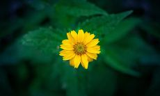 朋友离散，情缘难舍：描述友谊转折点的句子