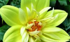 一部富有情感、感人至深的小说——《平凡的世界》中，描述友情的语句感人肺腑、深刻细致！