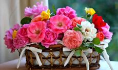 用比喻喻友情为酒的句子，达认同感，明义蕴，内涵深思