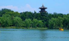 如何运用优美的句子提升文章品质？