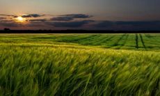 汇聚欢乐与喜悦，尽情庆祝幸福的人们