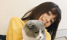 从秋季到冬季的转变：一条祝福的短信