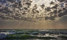 在当今现实中反省自己的行为和情绪、思想的重要性：探讨如何提高自我意识和自我反思能力的方法与技巧