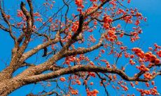 探讨如何用最能表达幸福感的语句来形容开心和喜悦的情绪状态