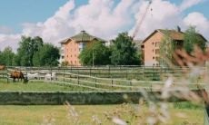 超级喜悦的话语和让人心情愉悦的表达方式