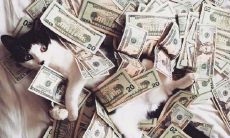 一句让人听了非常开心的话语，能够带来满心欢喜的幸福感