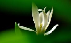 缺乏亲情氛围的表达方式