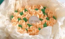 如何运用简洁的文案短句营造清新治愈、温暖阳光的氛围？