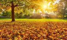 五一节后发送客户问候短信的最佳实践及如何提高短信反应率