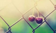 一些表达心情的经典句子和心情短语