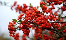 祝愿本次员工年会充满欢笑和温情，让所有员工度过一个难忘且快乐的夜晚！