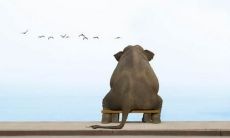 感人至深的唯美句子，让人心中涌起一股酸楚情感