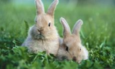 热烈欢聚，家庭团圆，人人喜笑颜开的场面让人心情愉悦