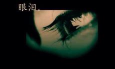 哭出来的句子：沉浸在眼泪中的词句，充满悲伤的文字世界