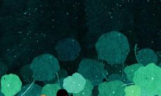 无法找到幸福的人生句子-失望、痛苦和心理疾病