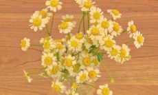 101句正能量励志早安话语，激励你迎接全新的一天！