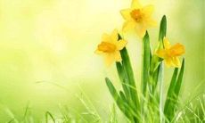 如何减轻压力和焦虑，让内心的烦躁与不安不再困扰你？