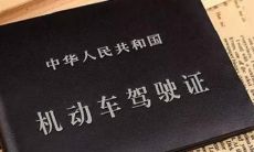 成功顺利取得驾照，让人心情愉悦、备感庆幸的喜悦句子