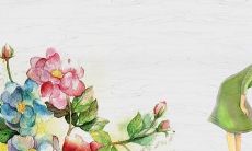 探寻家庭中最温馨的力量！陈述亲情之美的精美句子缭绕心头！