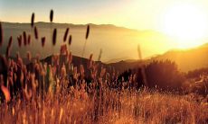 流淌着情感的光芒：一个充满感性诗意的光之句集