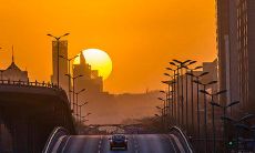 一组凄凉句子，传达出失望和绝望的感觉