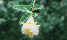 制作相册的过程中收集到的令人愉悦的言句，带给您无尽的欢乐！