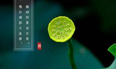 夏季高温期间的祝福语——三伏天祝福语推荐