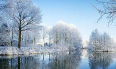 A绚丽细腻的冰雪世界：迷人的白色花海、繁华的冰雪王国和惊艳的冰晶景象