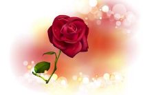 精选的十个字爱情承诺短语，甜蜜至极！